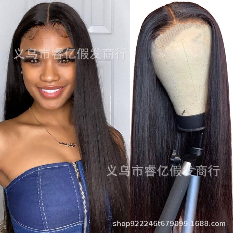 Michelle  Middle Part Black Long Straight Hair Multi-color Wig