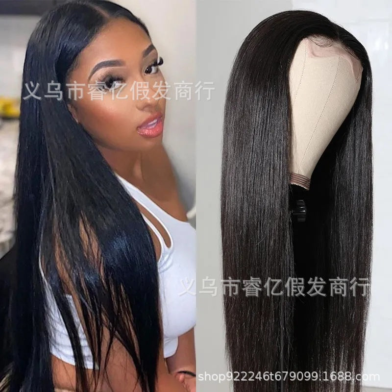 Michelle  Middle Part Black Long Straight Hair Multi-color Wig