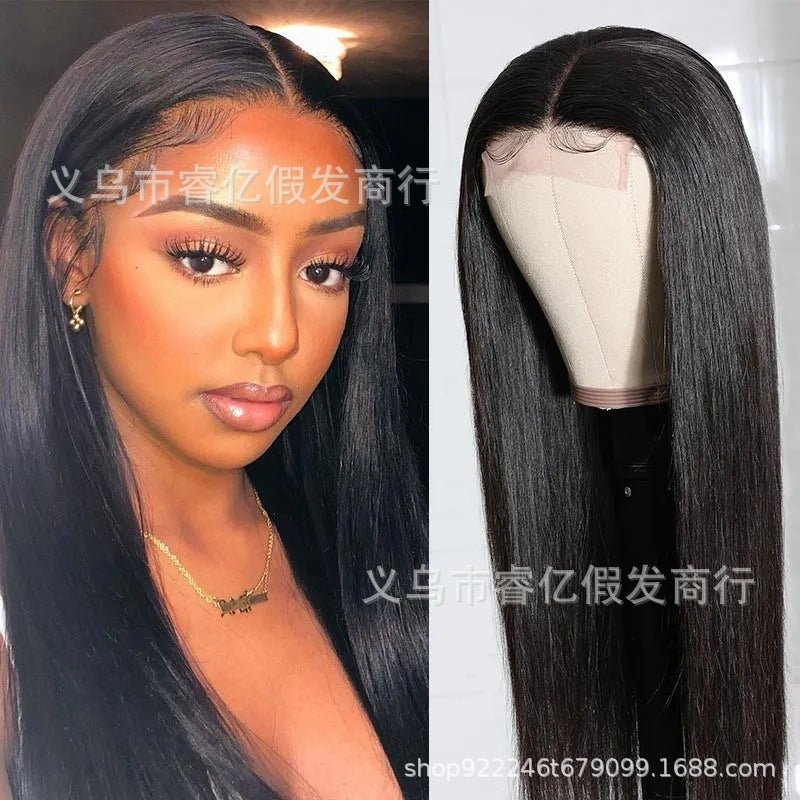 Michelle  Middle Part Black Long Straight Hair Multi-color Wig