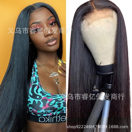 Michelle  Middle Part Black Long Straight Hair Multi-color Wig