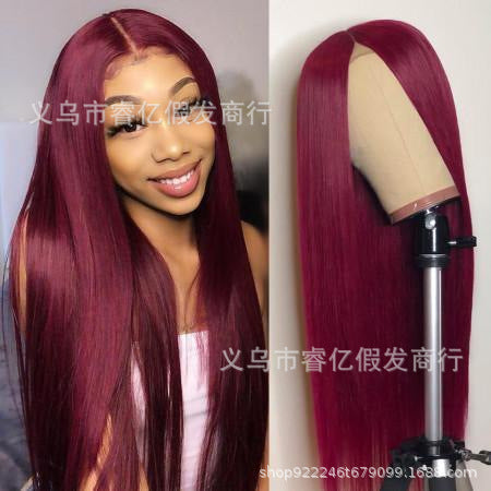 Michelle  Middle Part Black Long Straight Hair Multi-color Wig